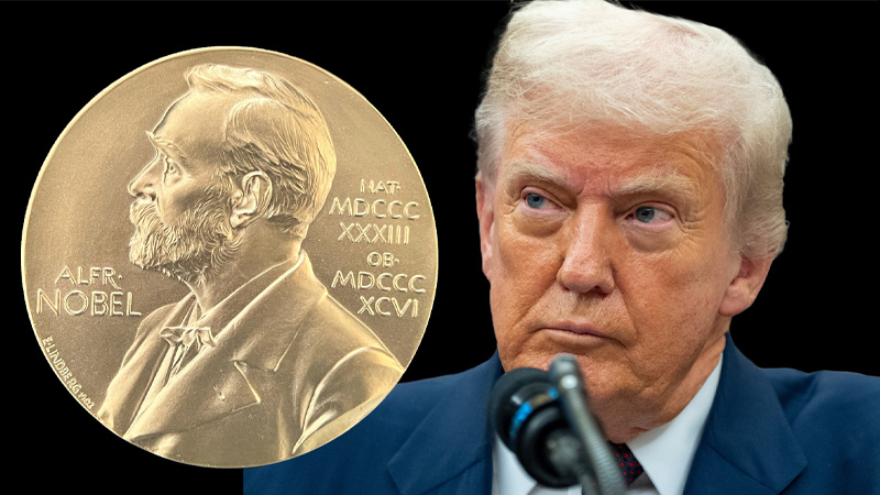 17600800084521171.jpg