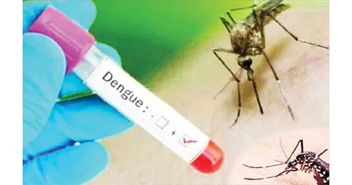 2022September/dengue-2209121625.jpg